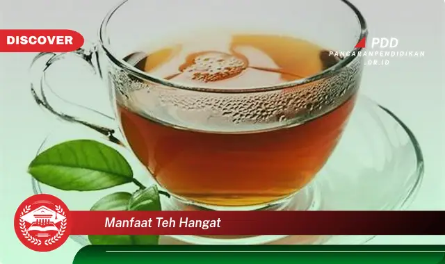 manfaat teh hangat