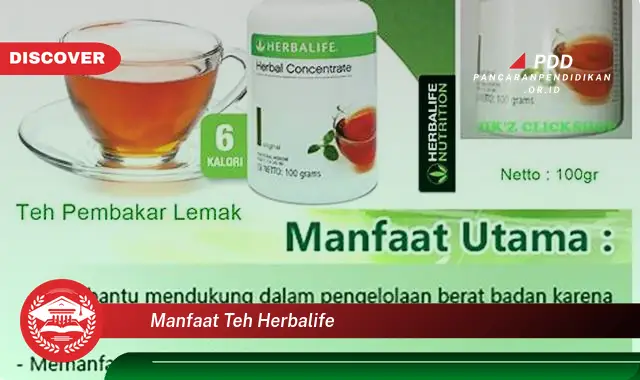 manfaat teh herbalife