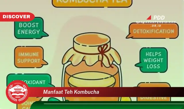 manfaat teh kombucha