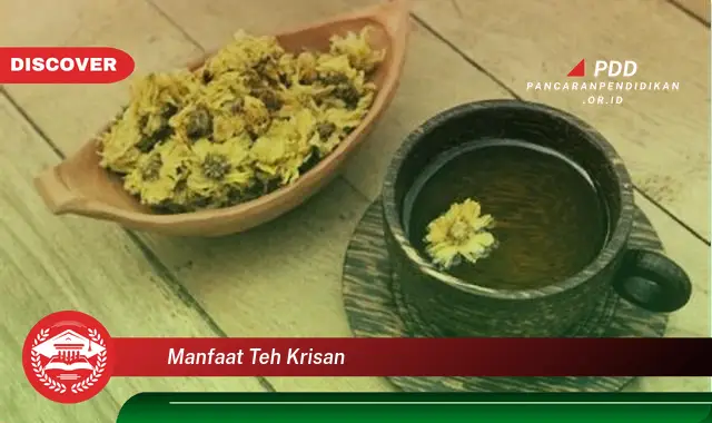 manfaat teh krisan