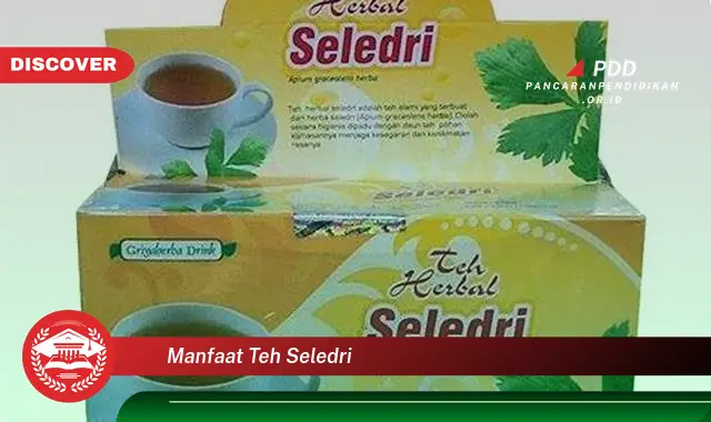 manfaat teh seledri