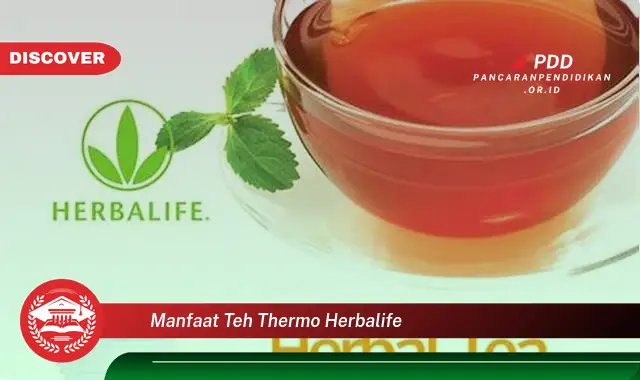 manfaat teh thermo herbalife