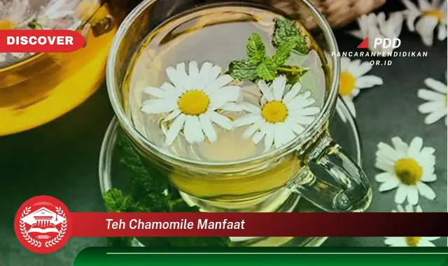 teh chamomile manfaat