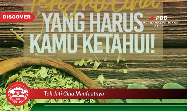 teh jati cina manfaatnya