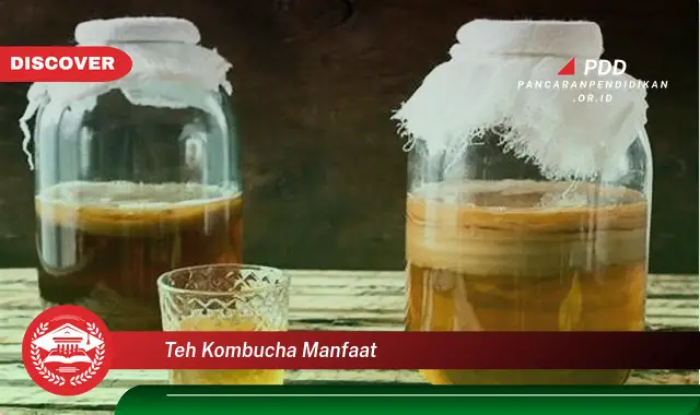 teh kombucha manfaat