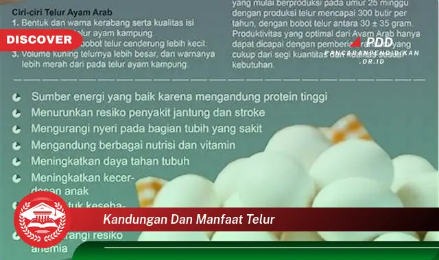 kandungan dan manfaat telur