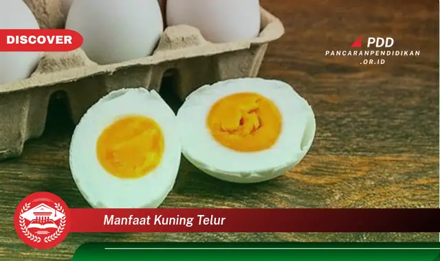 manfaat kuning telur