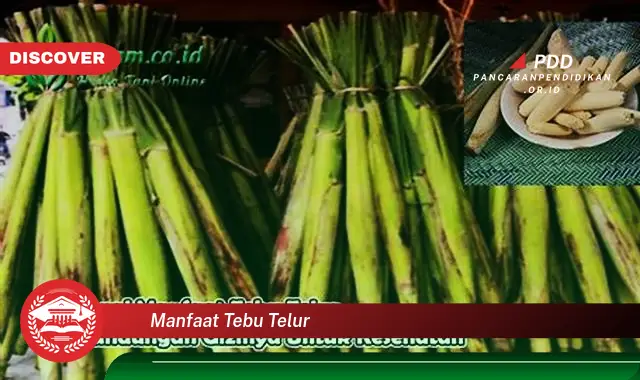 manfaat tebu telur