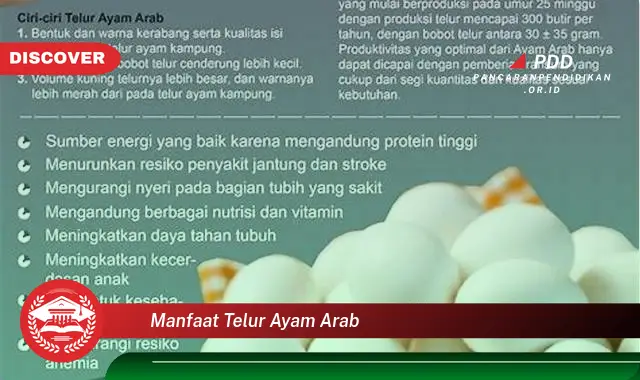 manfaat telur ayam arab