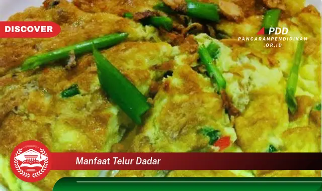 manfaat telur dadar