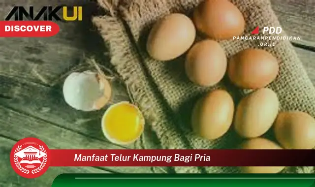 manfaat telur kampung bagi pria