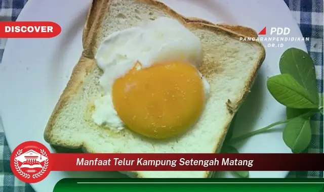 manfaat telur kampung setengah matang