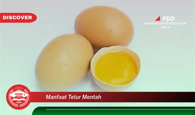 manfaat telur mentah