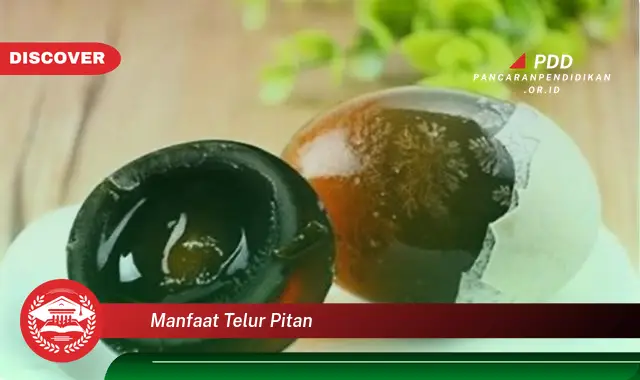 manfaat telur pitan