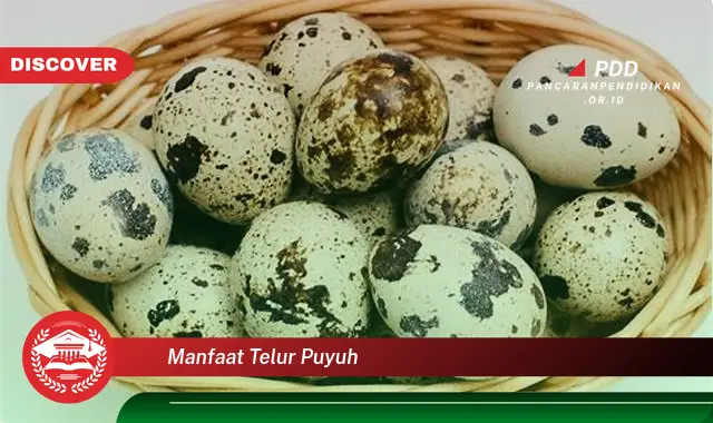 manfaat telur puyuh