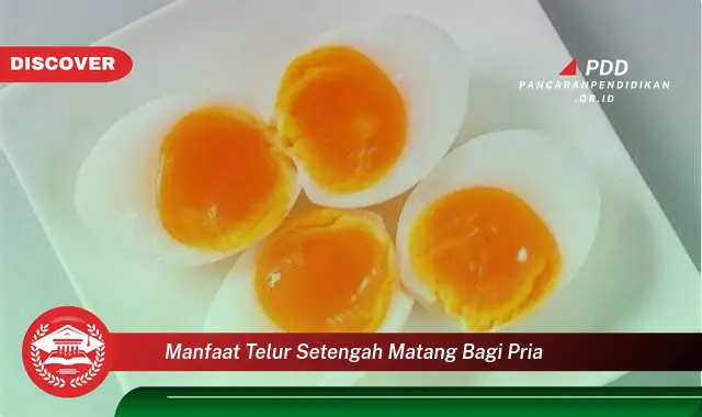 manfaat telur setengah matang bagi pria