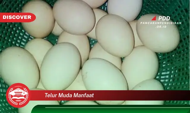 telur muda manfaat