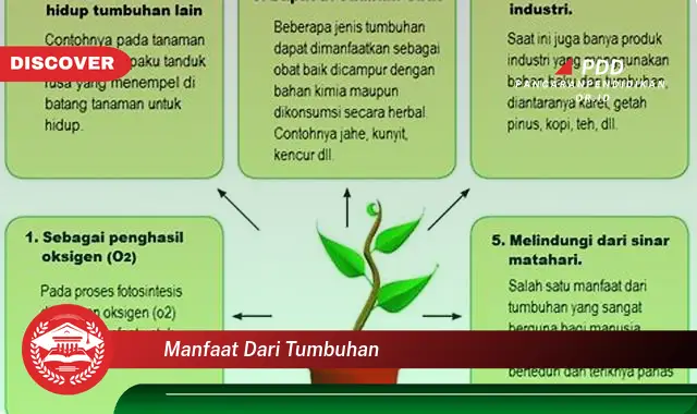 manfaat dari tumbuhan