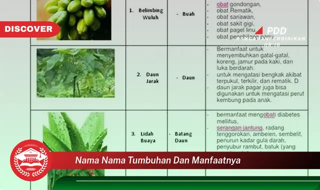 nama nama tumbuhan dan manfaatnya