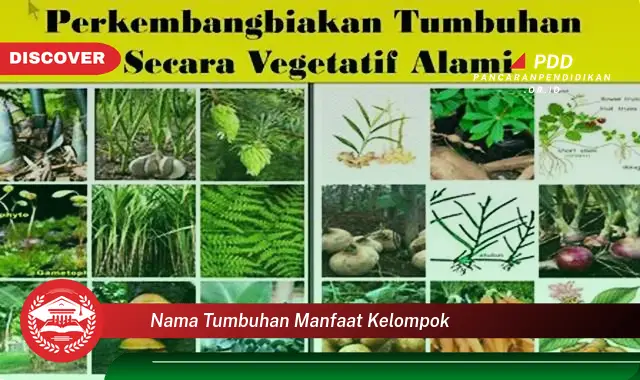 nama tumbuhan manfaat kelompok