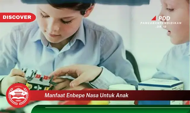 manfaat enbepe nasa untuk anak