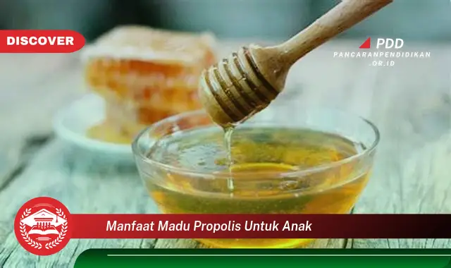 manfaat madu propolis untuk anak