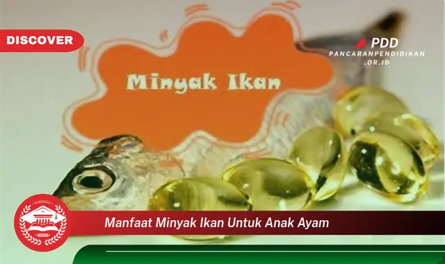 manfaat minyak ikan untuk anak ayam