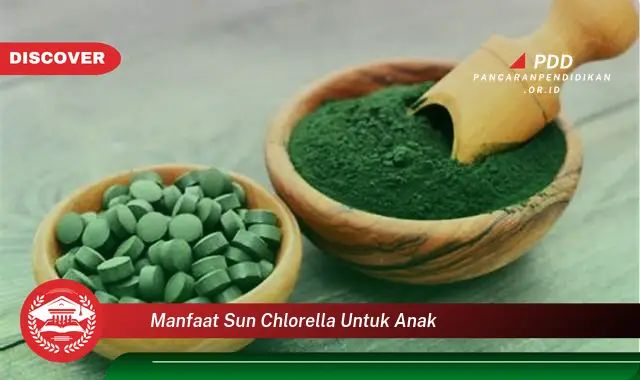 manfaat sun chlorella untuk anak