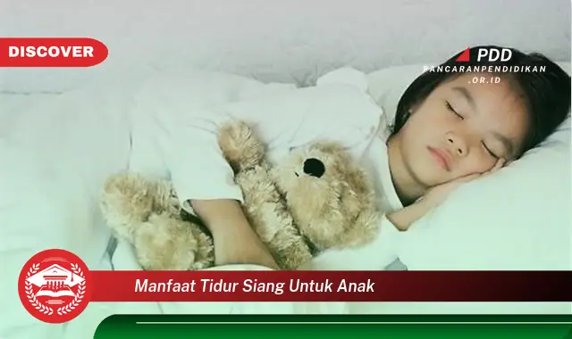 manfaat tidur siang untuk anak