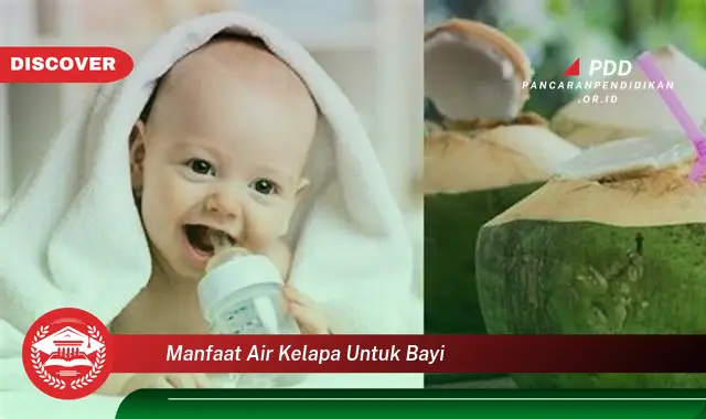 manfaat air kelapa untuk bayi