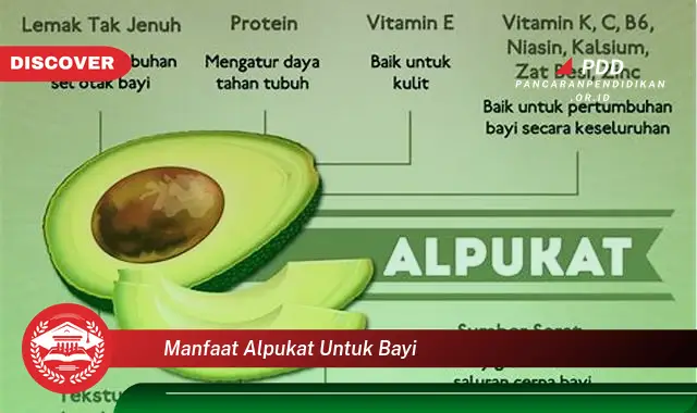 manfaat alpukat untuk bayi