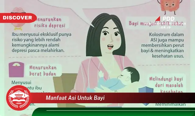 manfaat asi untuk bayi