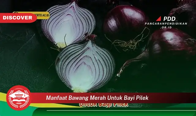 manfaat bawang merah untuk bayi pilek