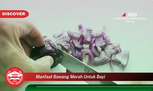 manfaat bawang merah untuk bayi