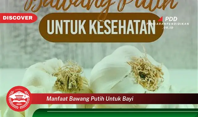 manfaat bawang putih untuk bayi