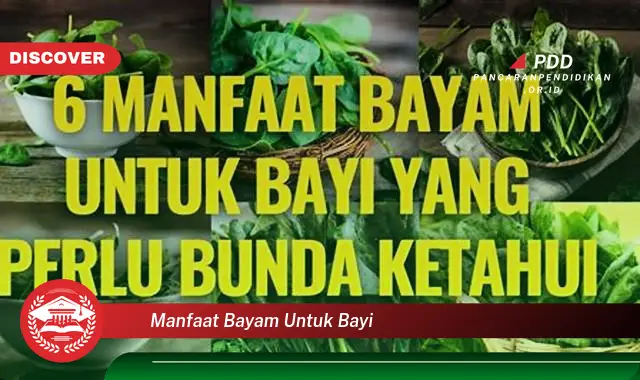 manfaat bayam untuk bayi