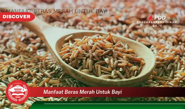 manfaat beras merah untuk bayi