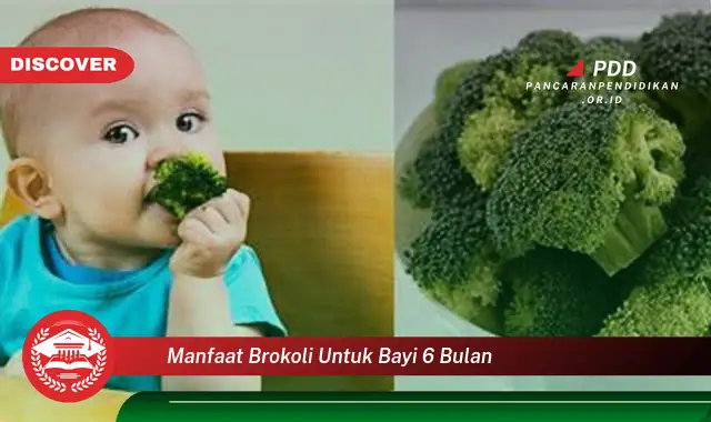 manfaat brokoli untuk bayi 6 bulan