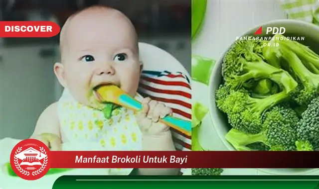 manfaat brokoli untuk bayi