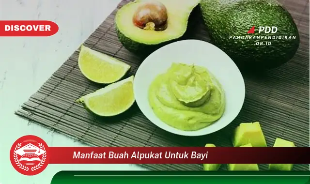 manfaat buah alpukat untuk bayi