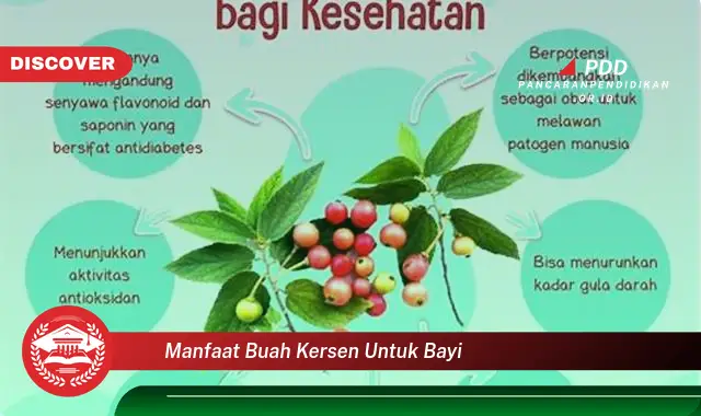 Bikin Penasaran! Ketahui 30 Manfaat Buah Kersen untuk Bayi