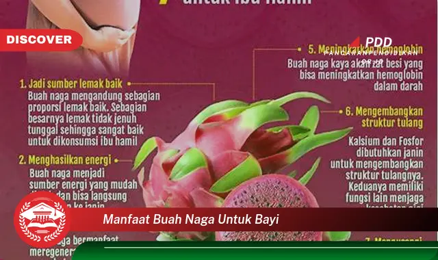 manfaat buah naga untuk bayi