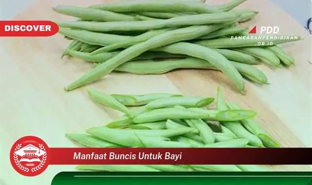 manfaat buncis untuk bayi