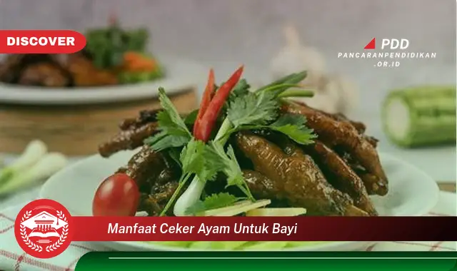 manfaat ceker ayam untuk bayi