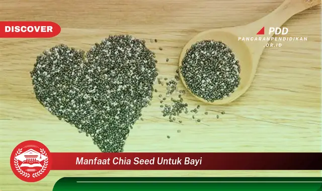 manfaat chia seed untuk bayi