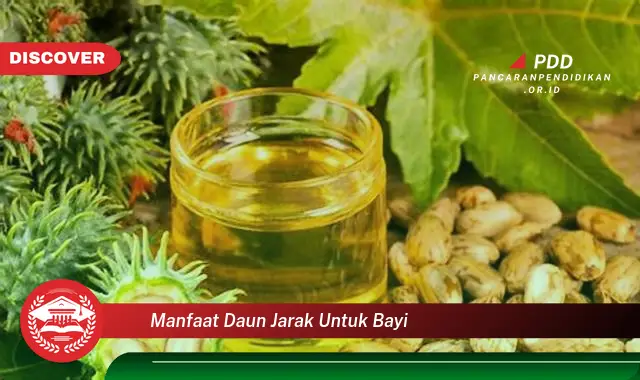 manfaat daun jarak untuk bayi