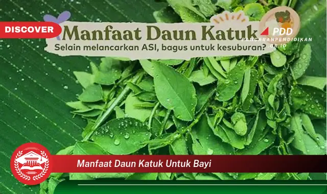 manfaat daun katuk untuk bayi