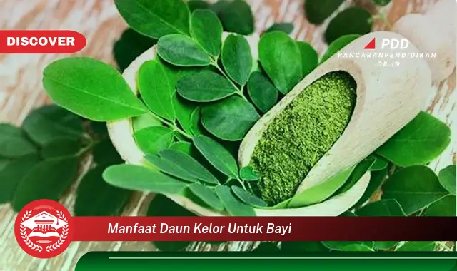 manfaat daun kelor untuk bayi