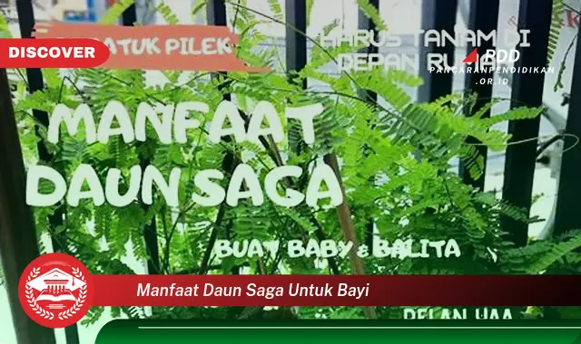 manfaat daun saga untuk bayi