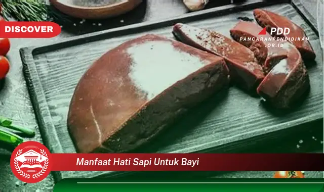 manfaat hati sapi untuk bayi